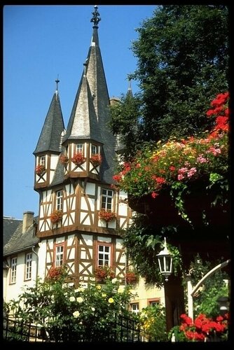 Внешний вид отеля Altdeutsche Weinstube в Рюдесхайме, фото 1