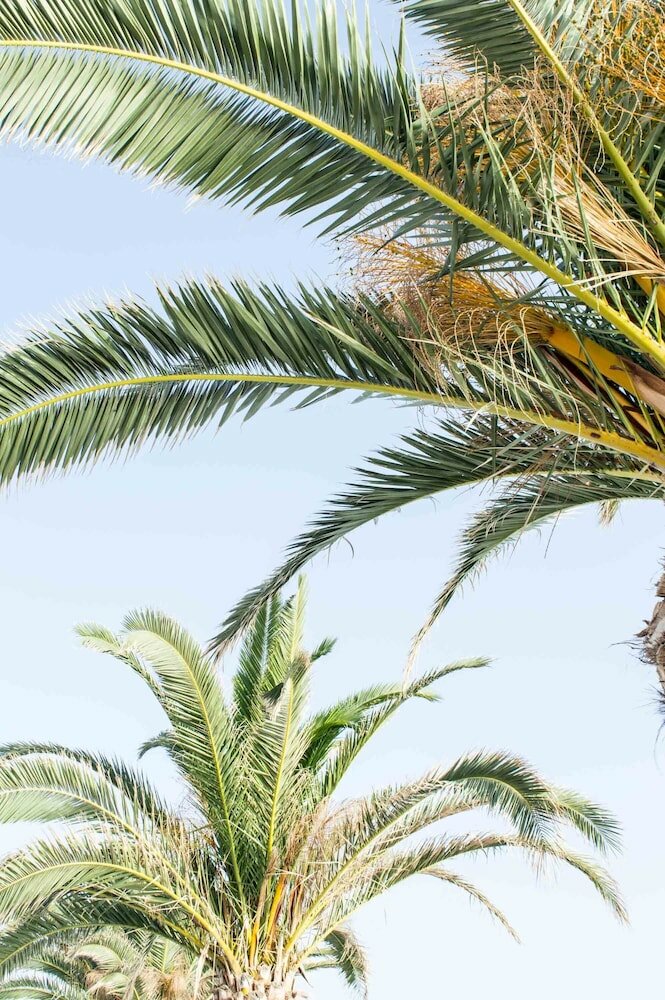 Фото Paradise Beach Hotel