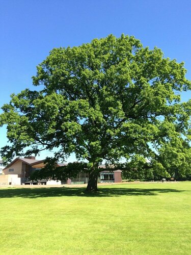 Гостиница Glostrup Park Hotel в Столичной области
