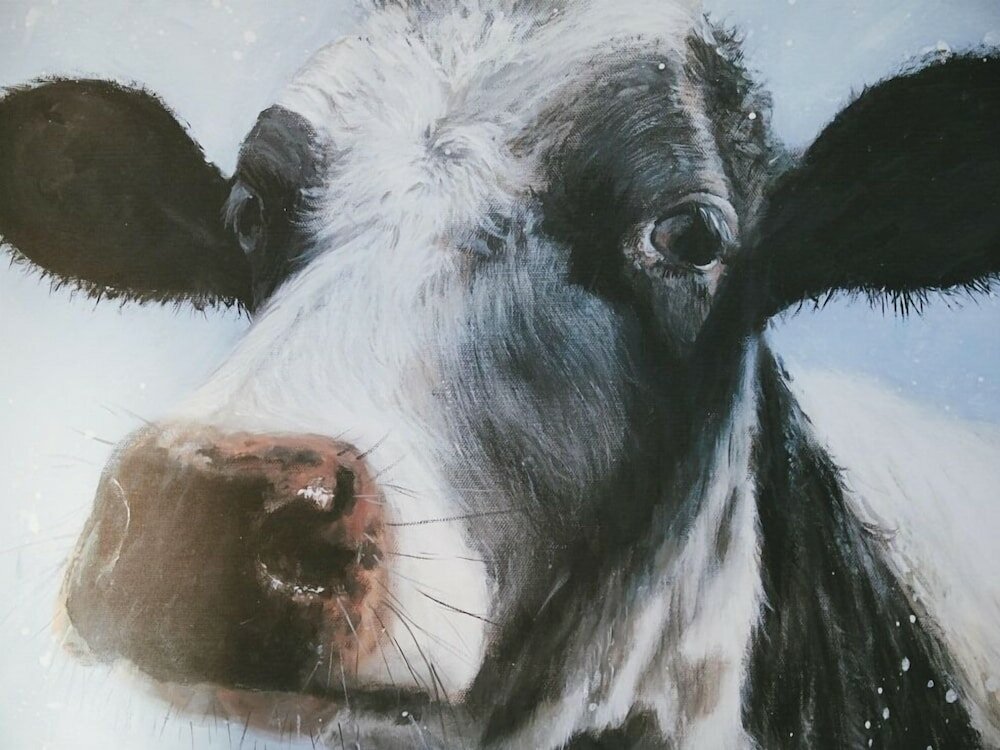 Фото Bosavern House