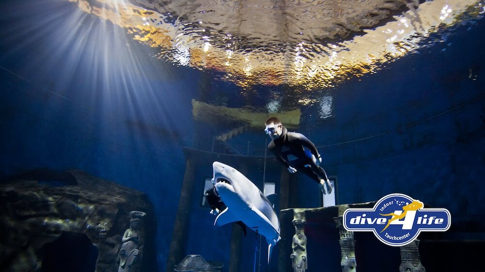 Фото Friendly City Hotel Oktopus