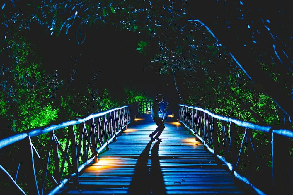 Фото Catalonia Royal Tulum - Adults Only All Inclusive