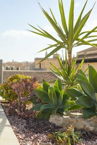 Гостиница Palma Riad