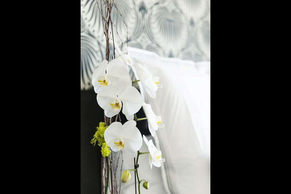 Фото The Mayfair Hotel Los Angeles