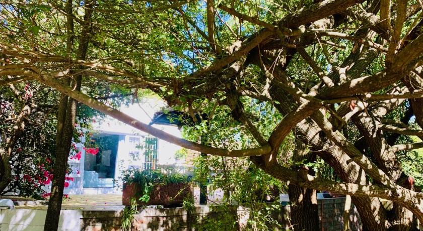 Фото The Little Hideaway