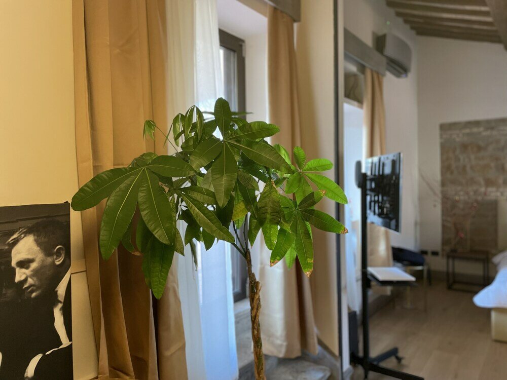 Фото Passpartout Boutique Palace