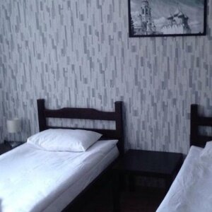 Фото Базилик