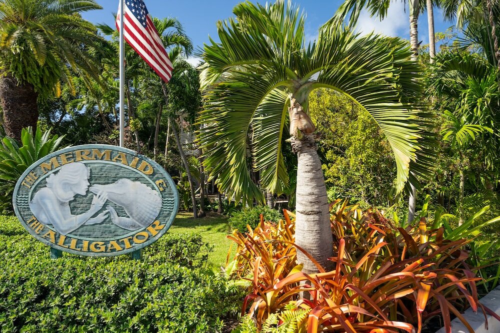 Фото The Mermaid & Alligator