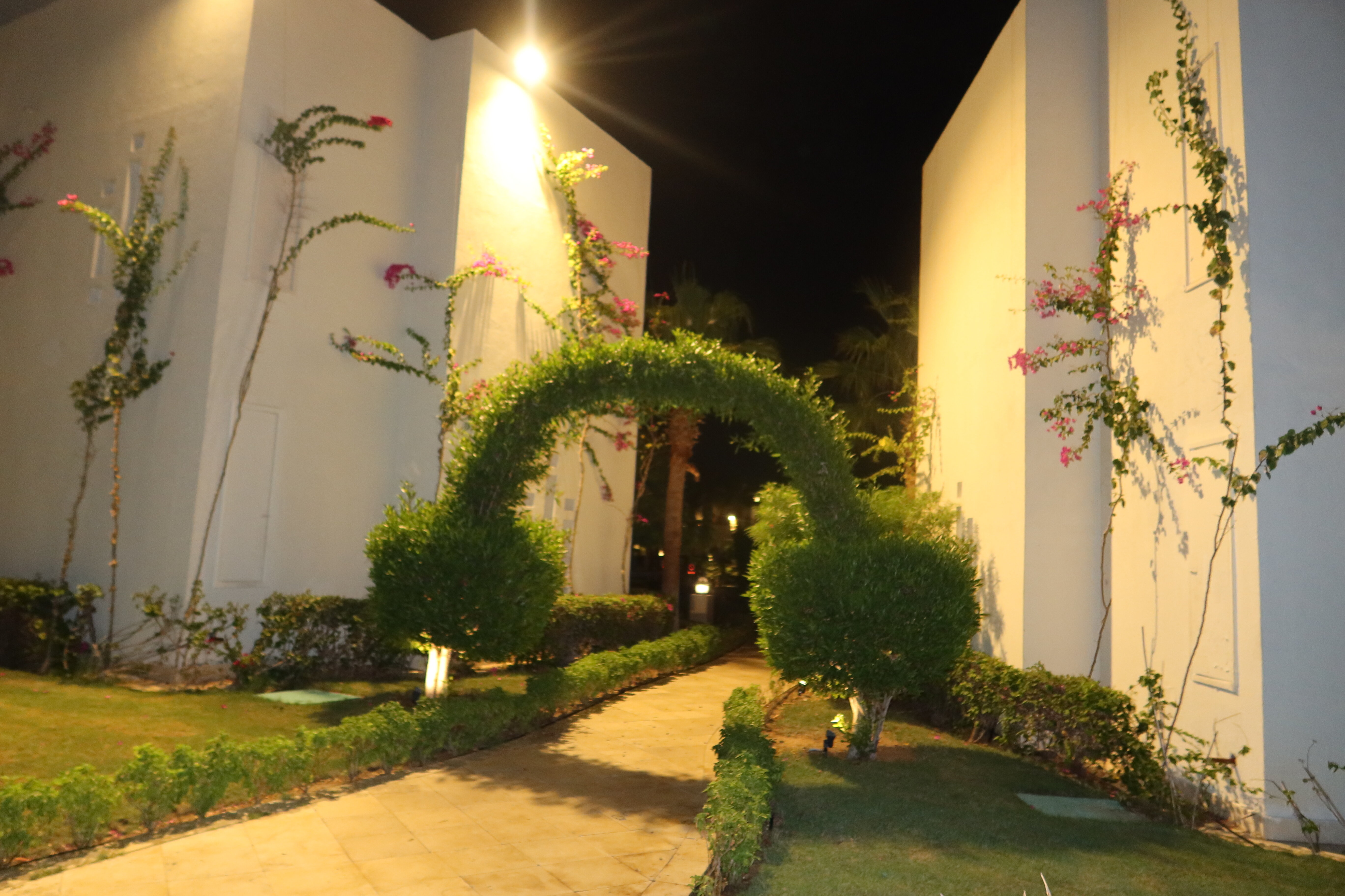 Фото Swissotel Sharm El Sheikh All-Inclusive Collection Resort