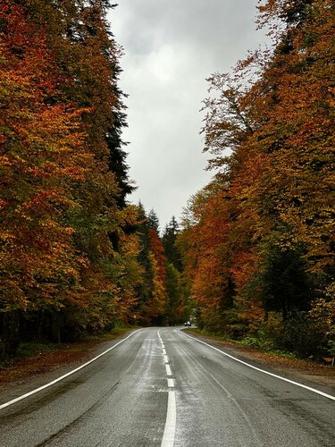 Дом в аренду Дом у горной реки в Теберде