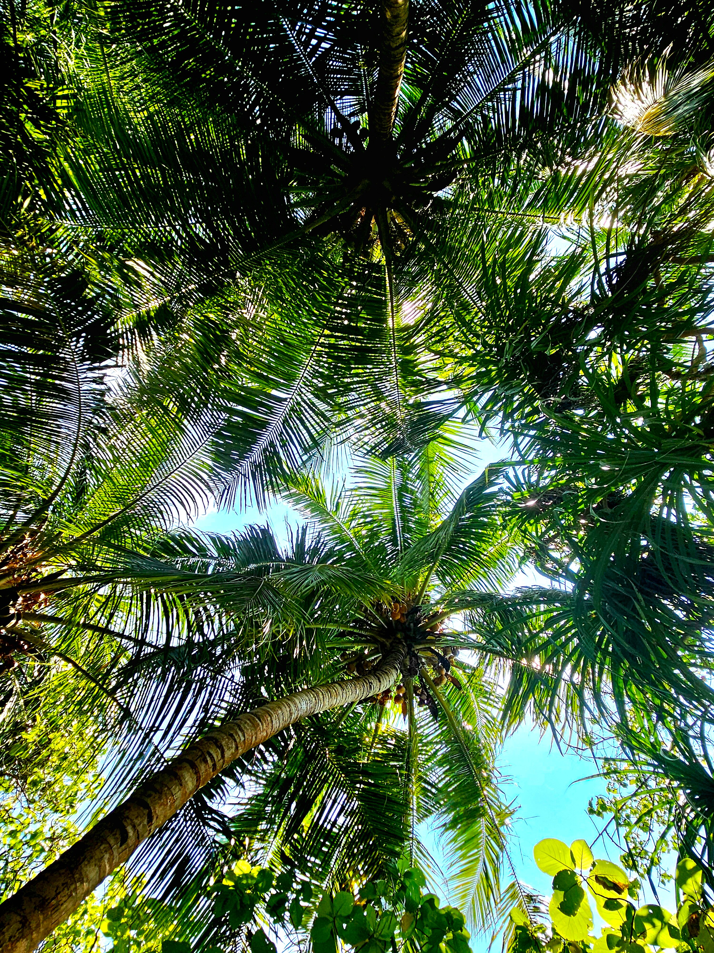 Фото Village Hideaways & Spas