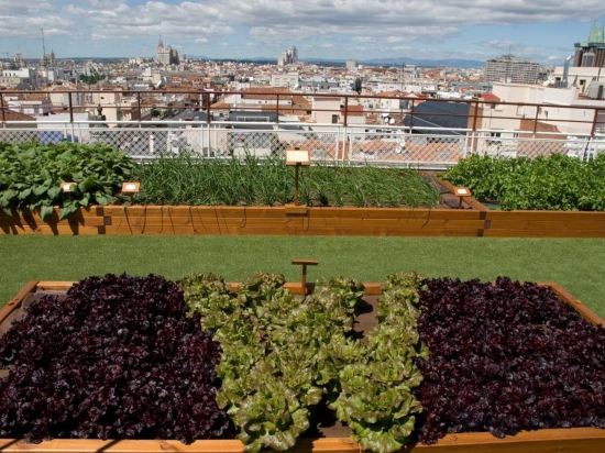 Фото Wellington Hotel & SPA Madrid