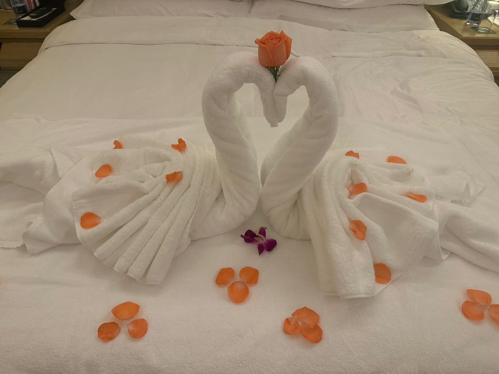 Фото The Ritz-Carlton Sanya Yalong Bay