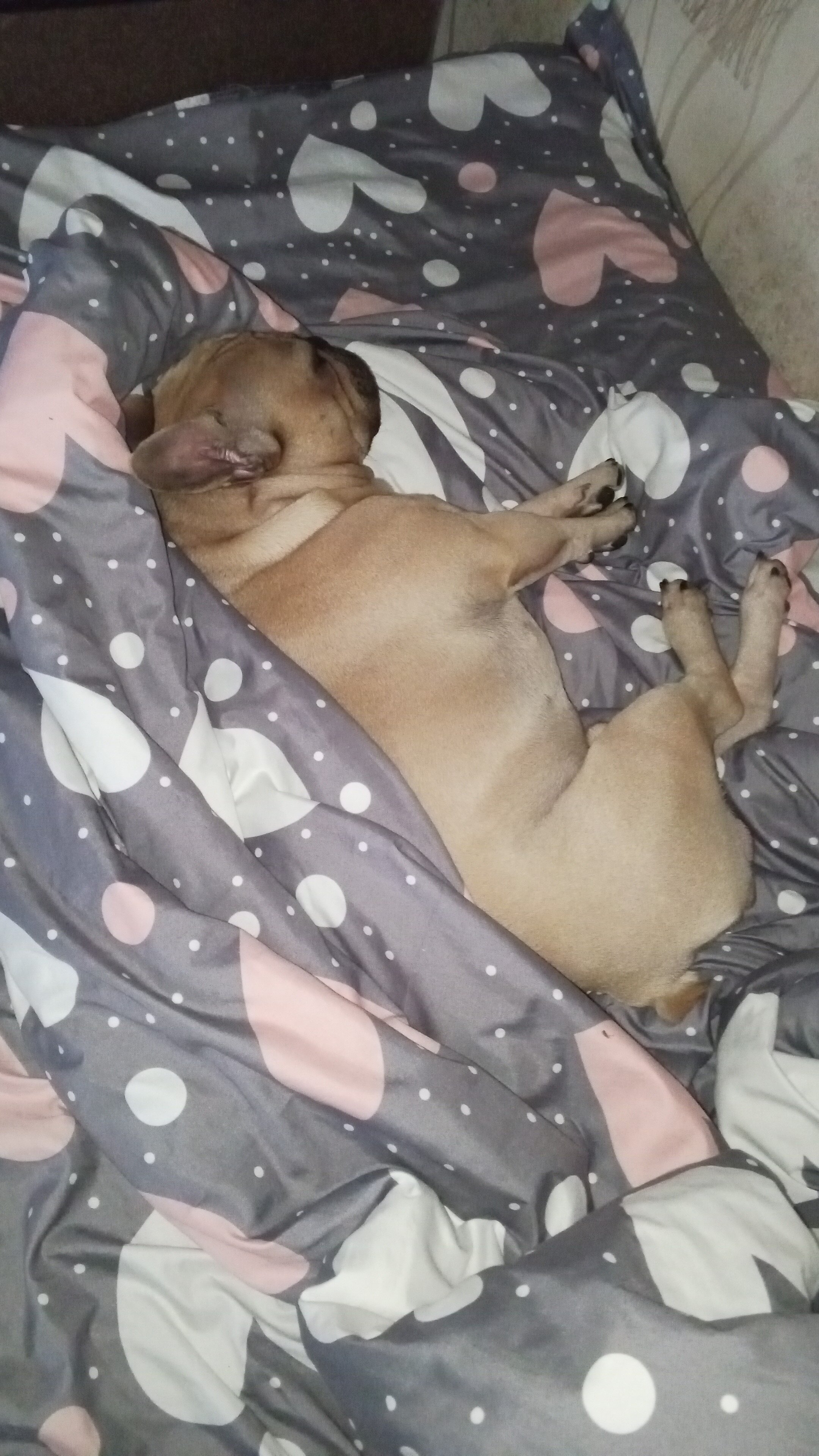 Фото Бостон