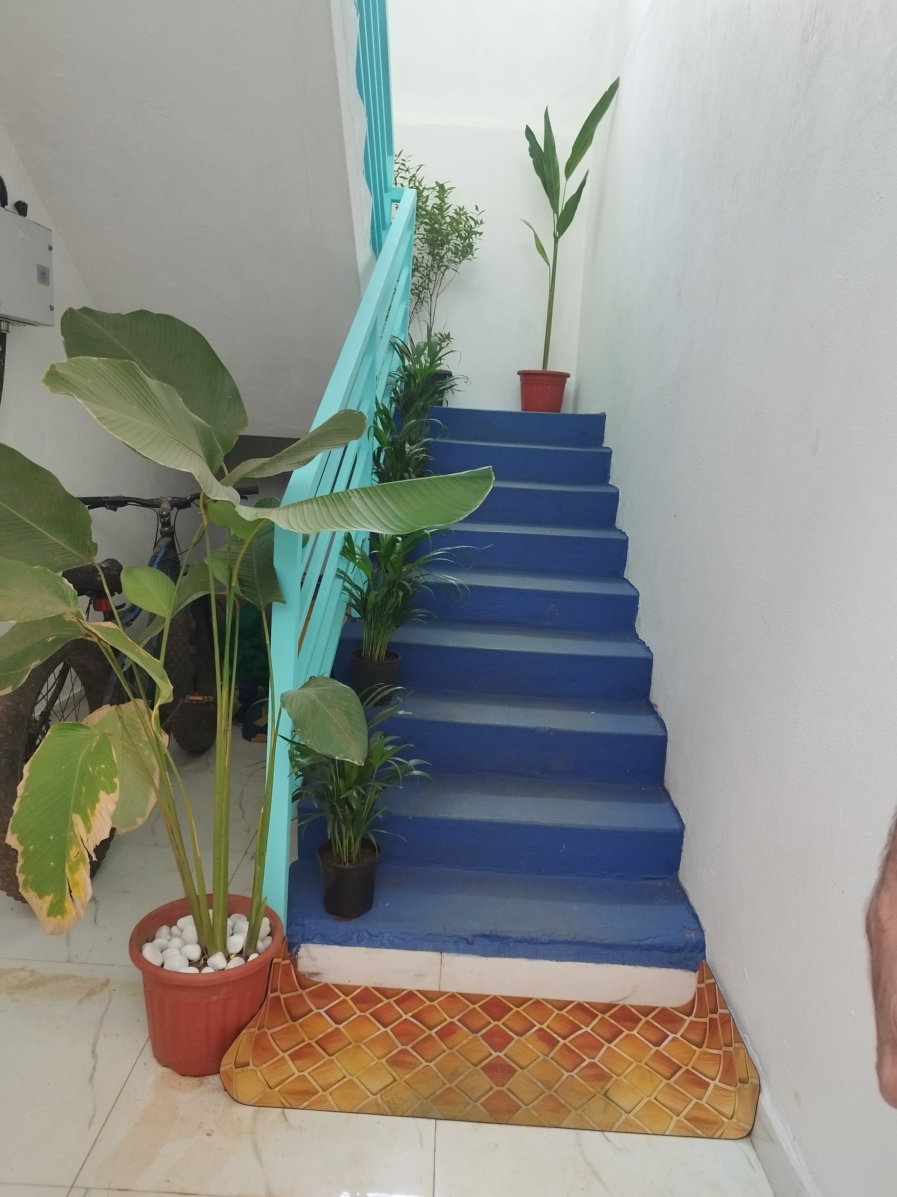 Фото Swati Hotel