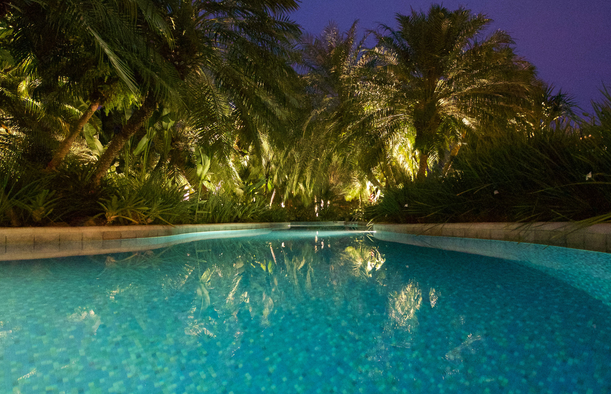 Фото Villa Bebek Hotel