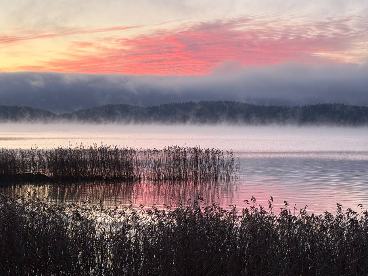 Фото Времена Года