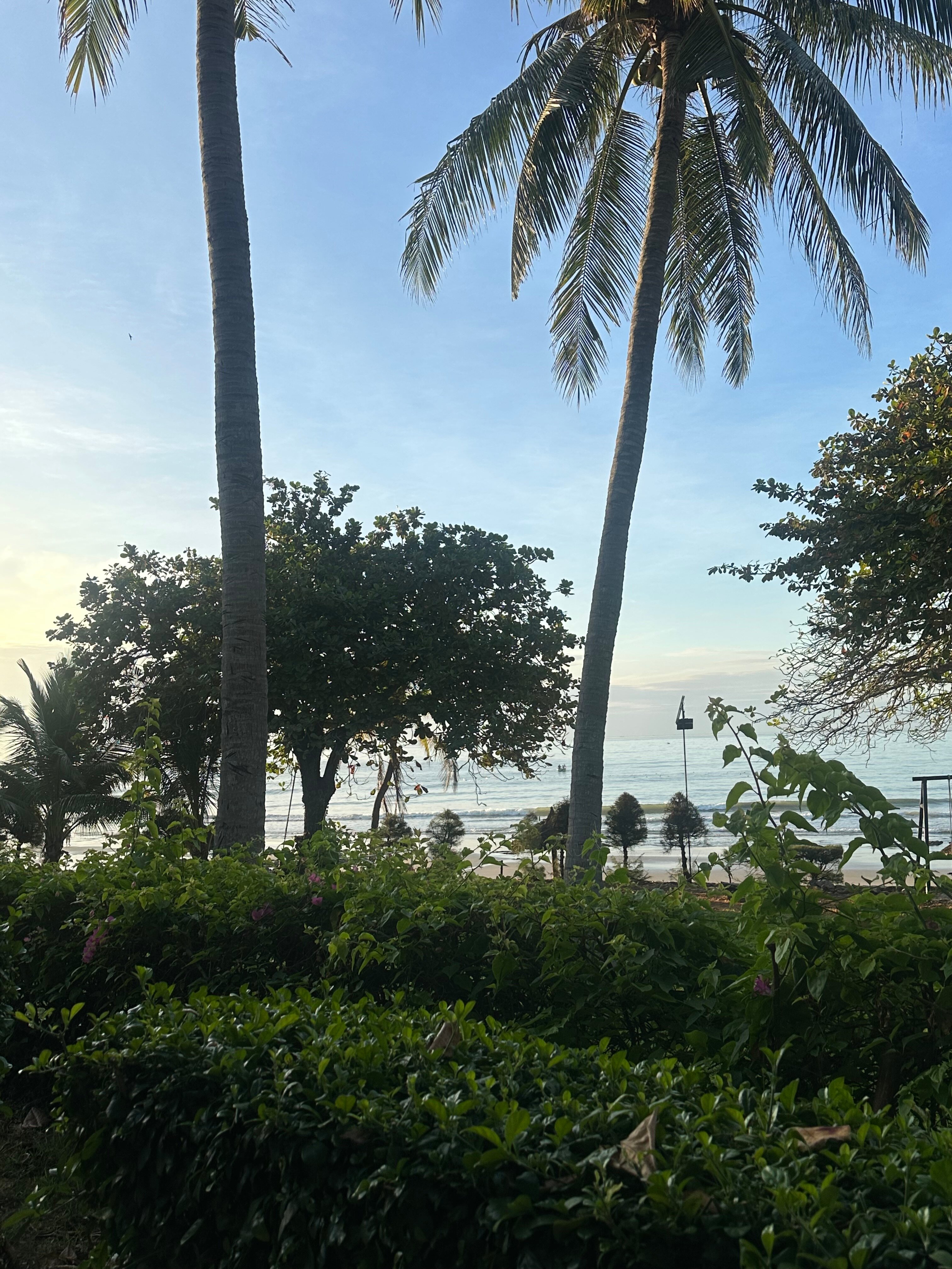 Фото Victoria Phan Thiet Beach Resort & SPA