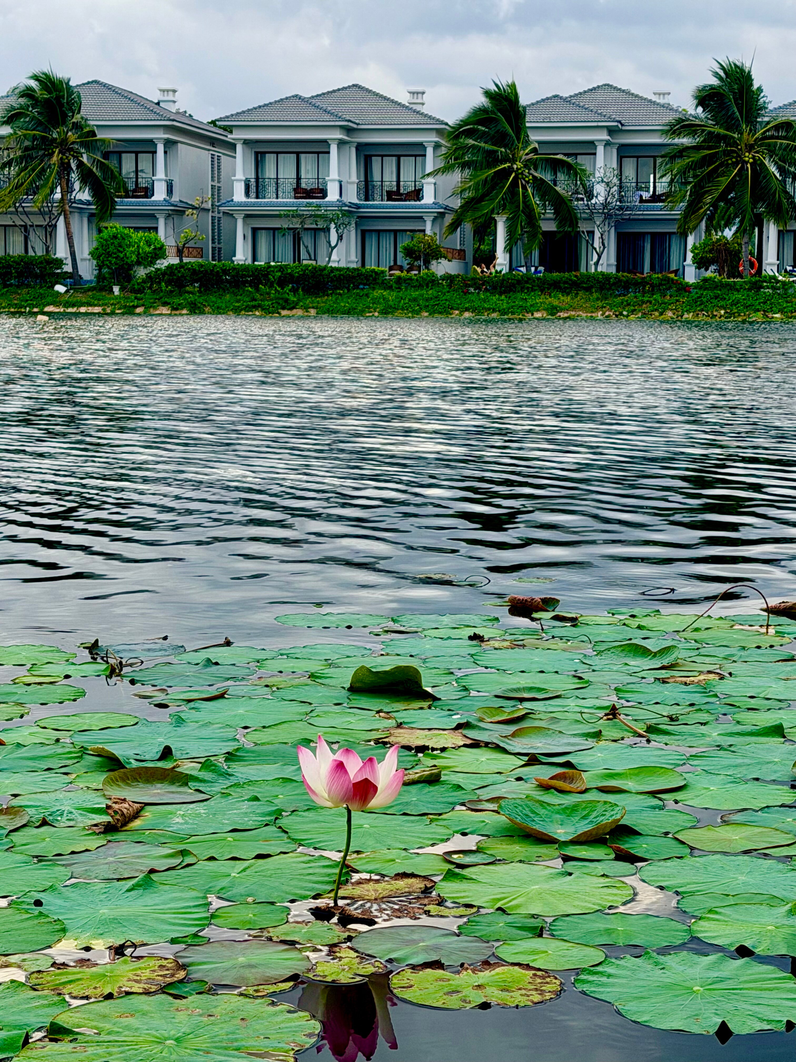 Фото Melia Vinpearl Cam Ranh Beach Resort