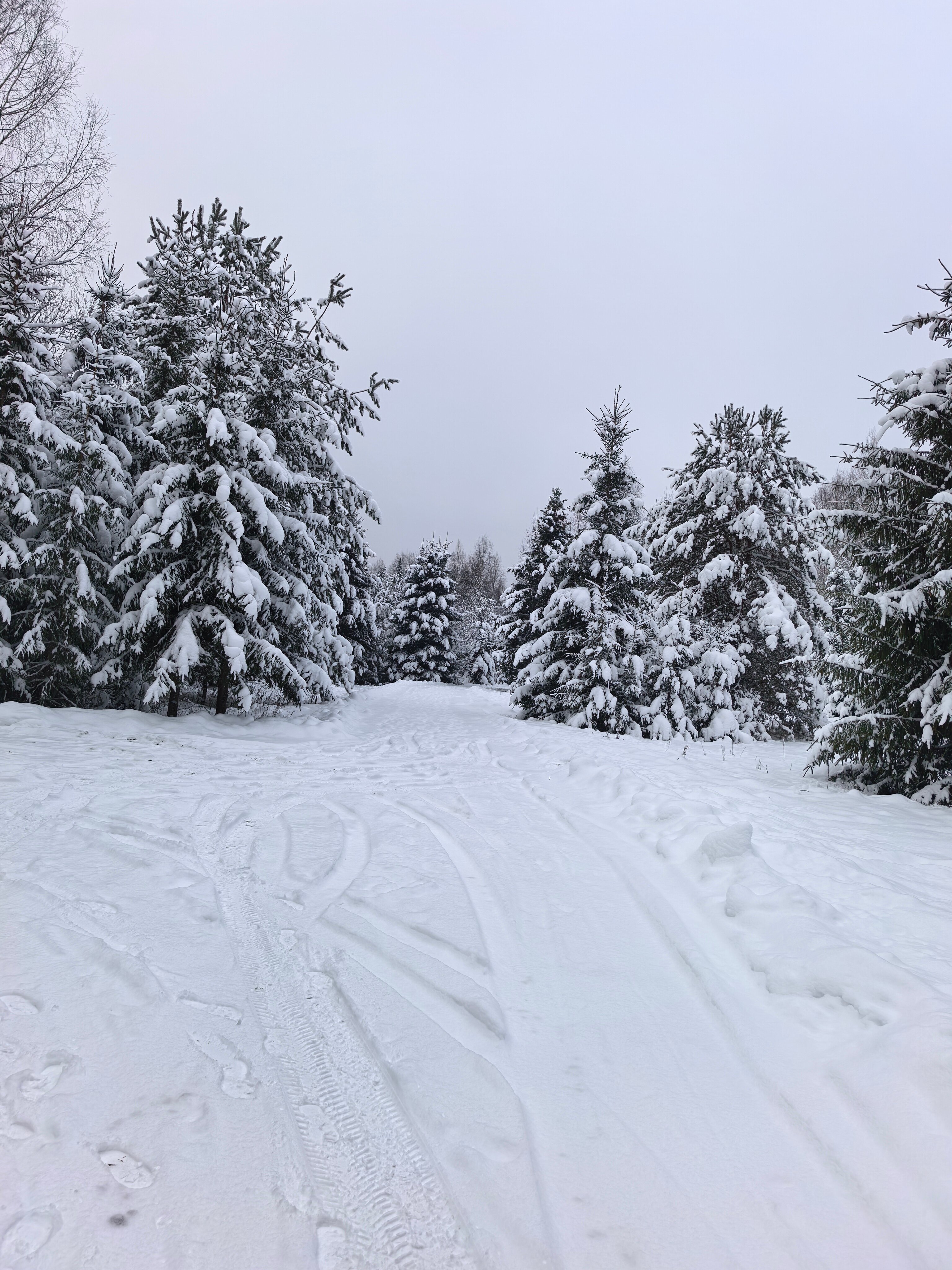 Фото Кузьмадино