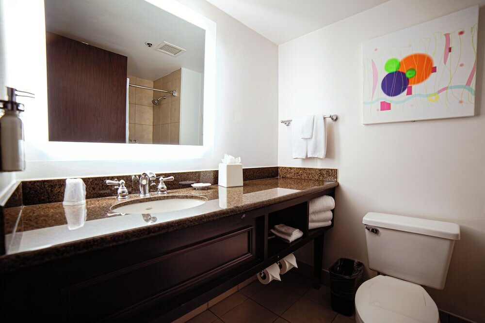 Фото Holiday Inn Irving Las Colinas, an Ihg Hotel