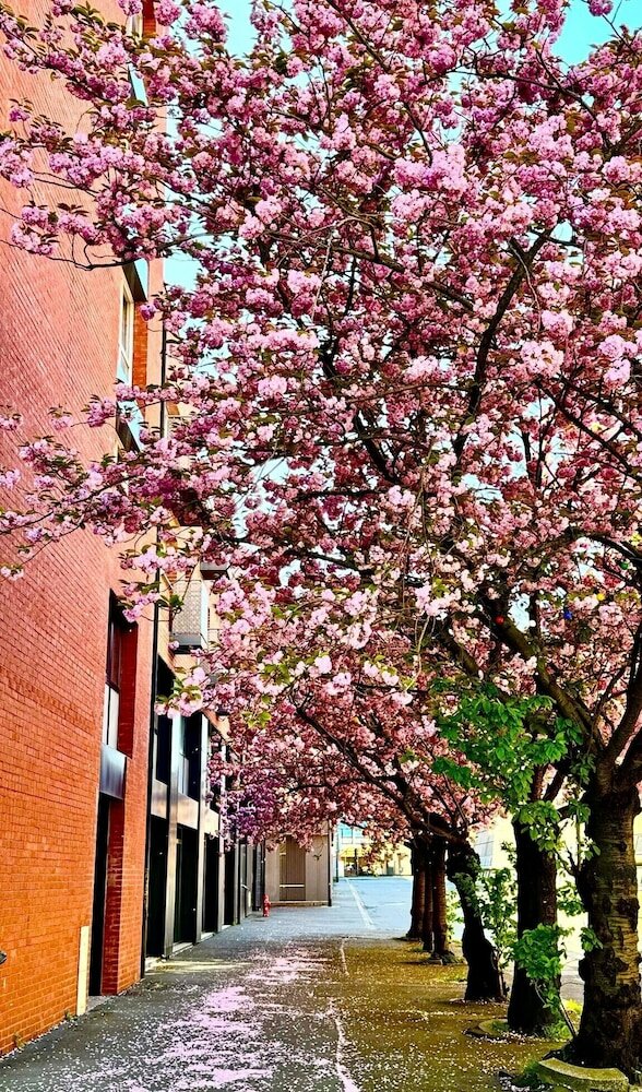Фото Ibis Lille Centre Grand Palais