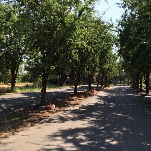 Гостиница Moo Noi Resort в Пхичите