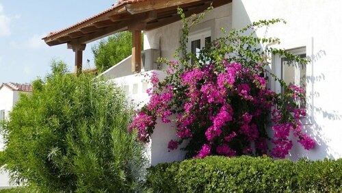 Гостиница Castri Village Hotel в Вигле