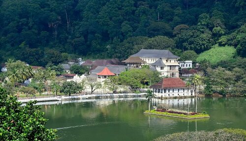 Гостиница Kandy Shady Trees Villa в Канди