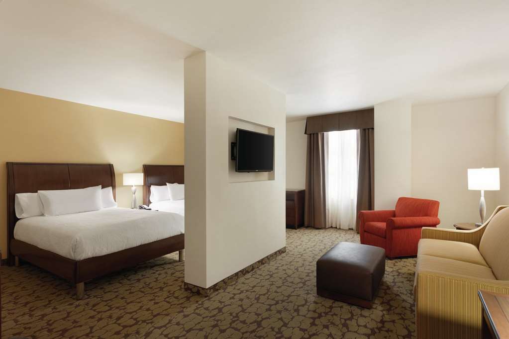 Фото Hilton Garden Inn Rochester Downtown