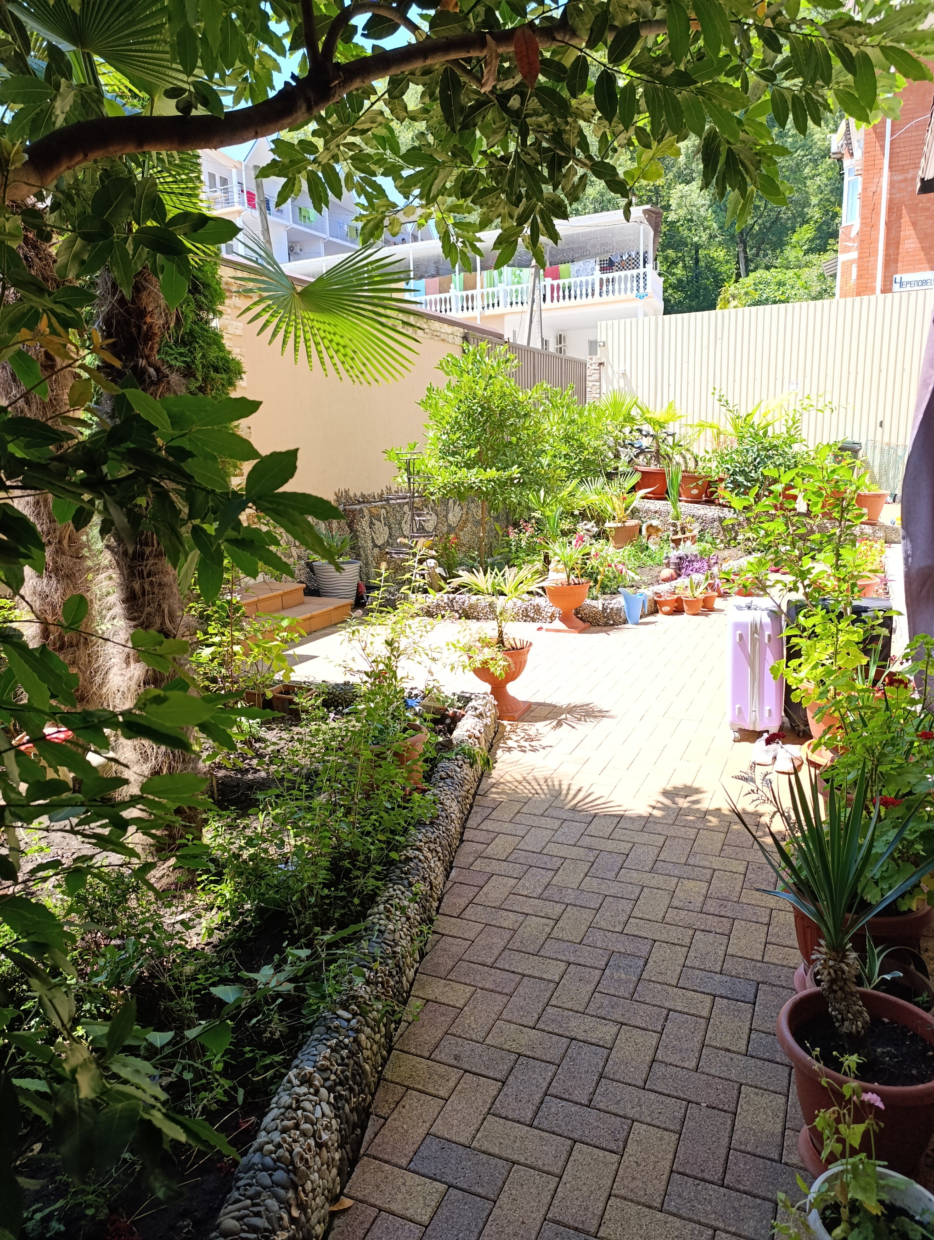 Фото Созвездие