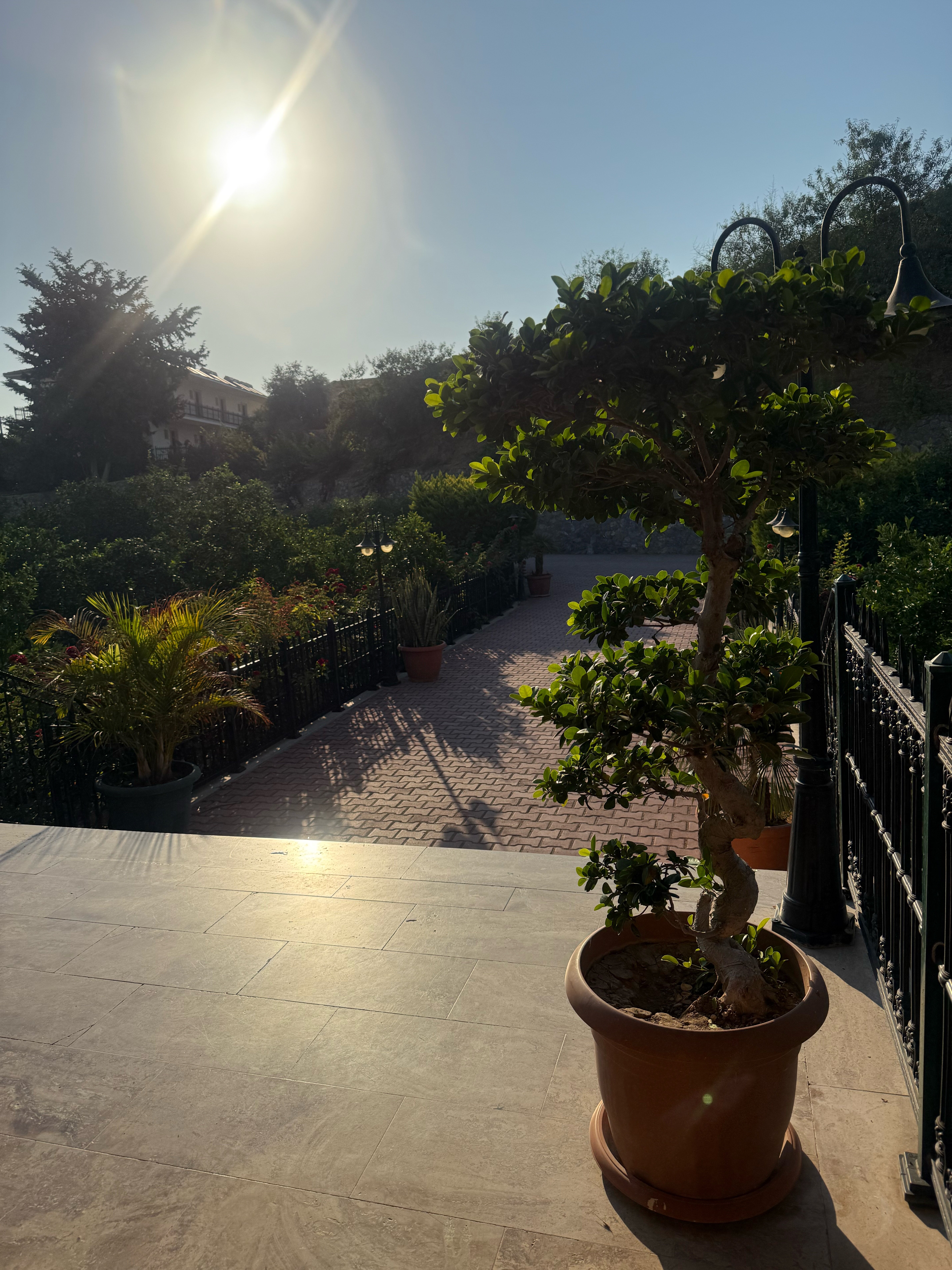 Фото Riverside Garden Resort