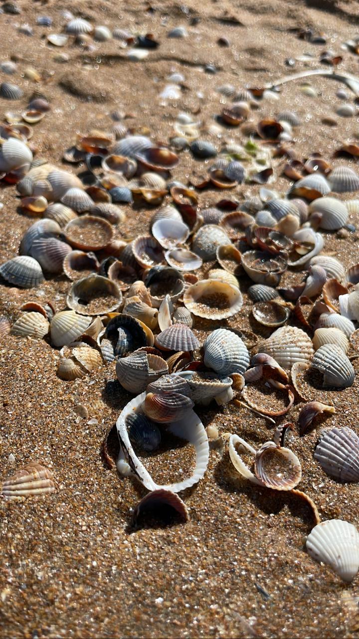 Фото Домик художника