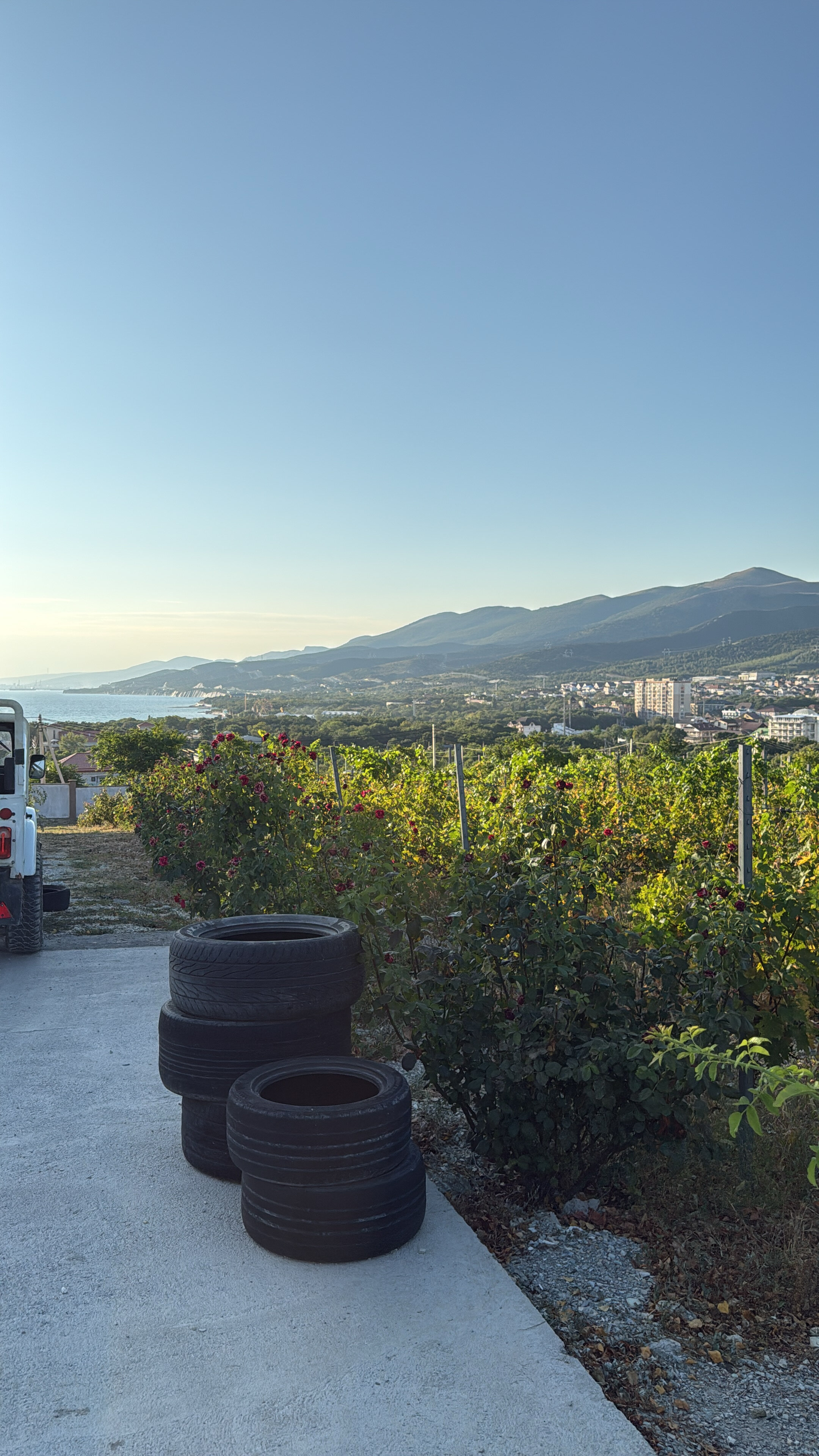 Фото Шато ди лиз