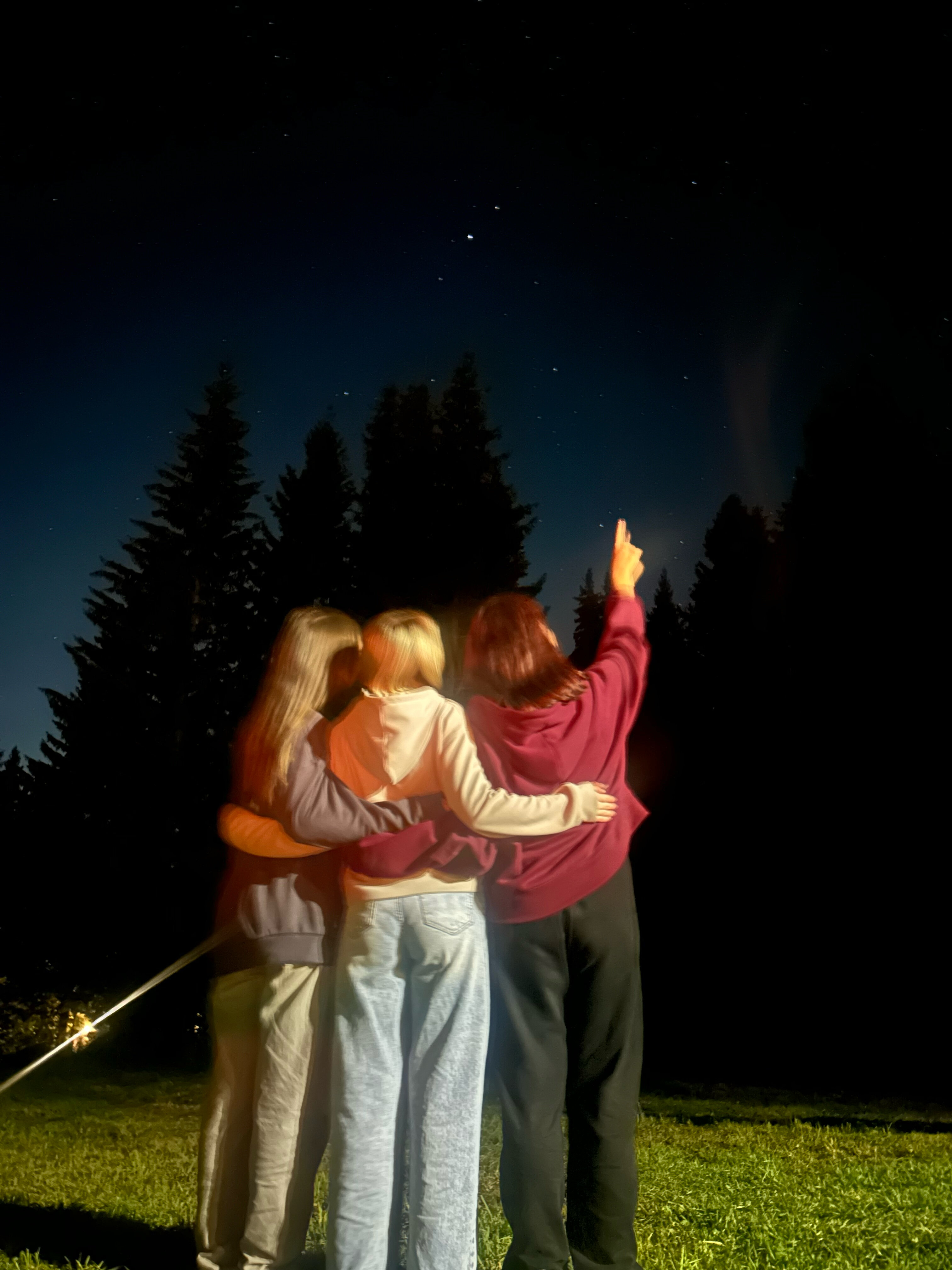 Фото Опушка