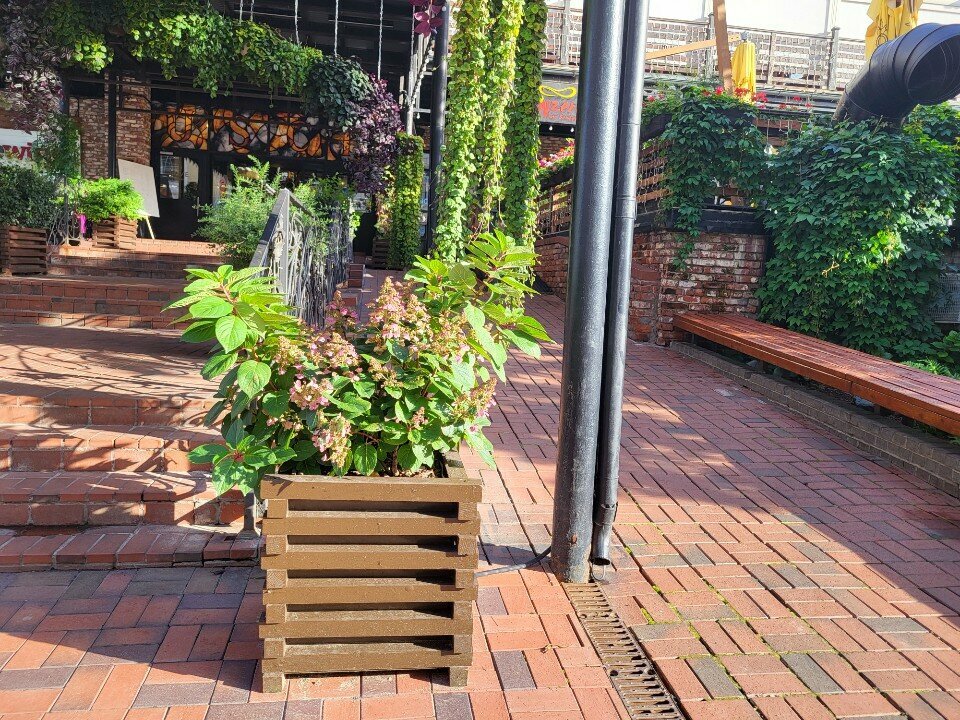 Toilet Туалет, Moscow, photo