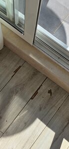 Grifid Encanto Beach (Varna, Varna, Golden Sands), hotel