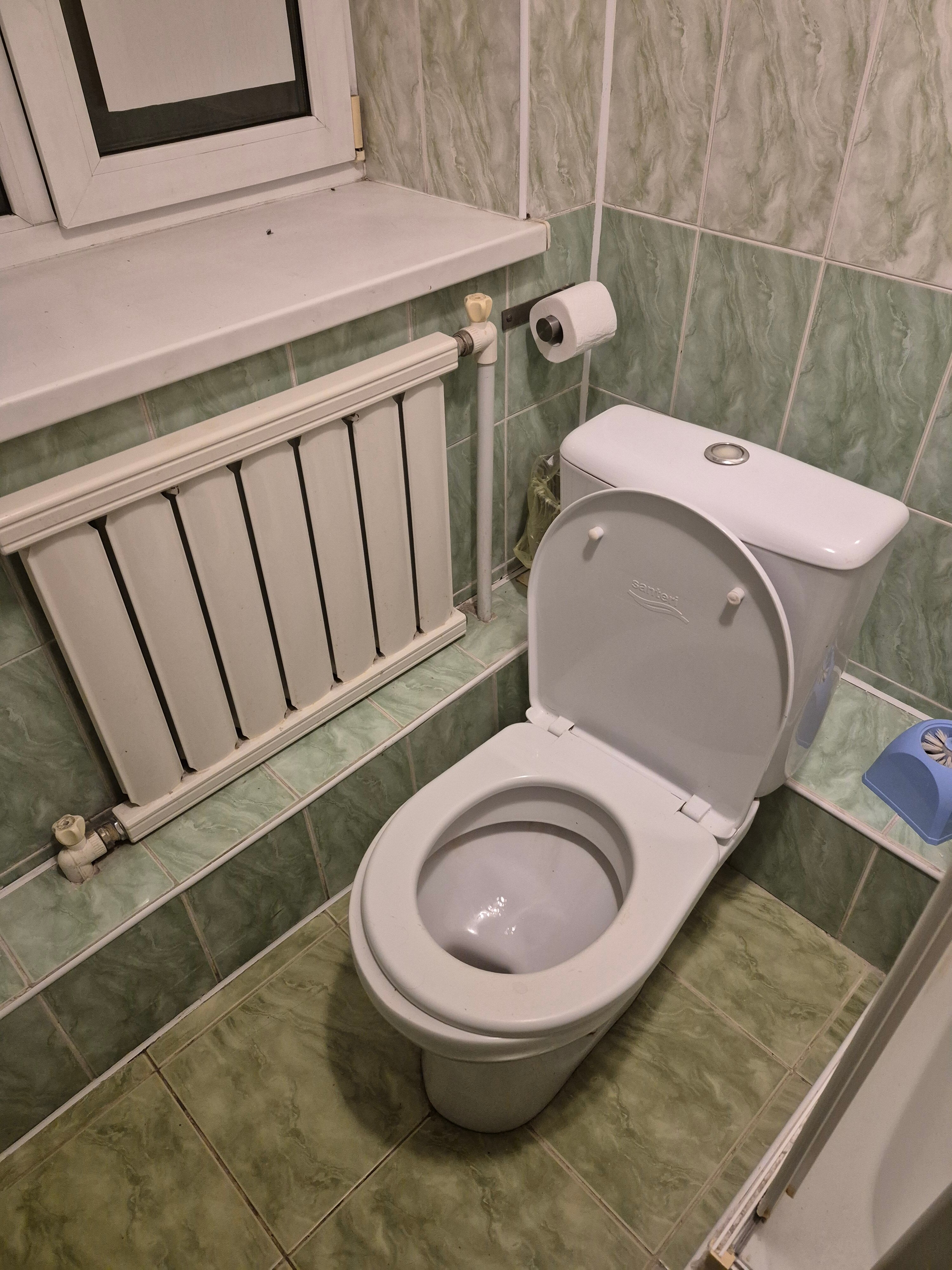 Фото Добрый Финн