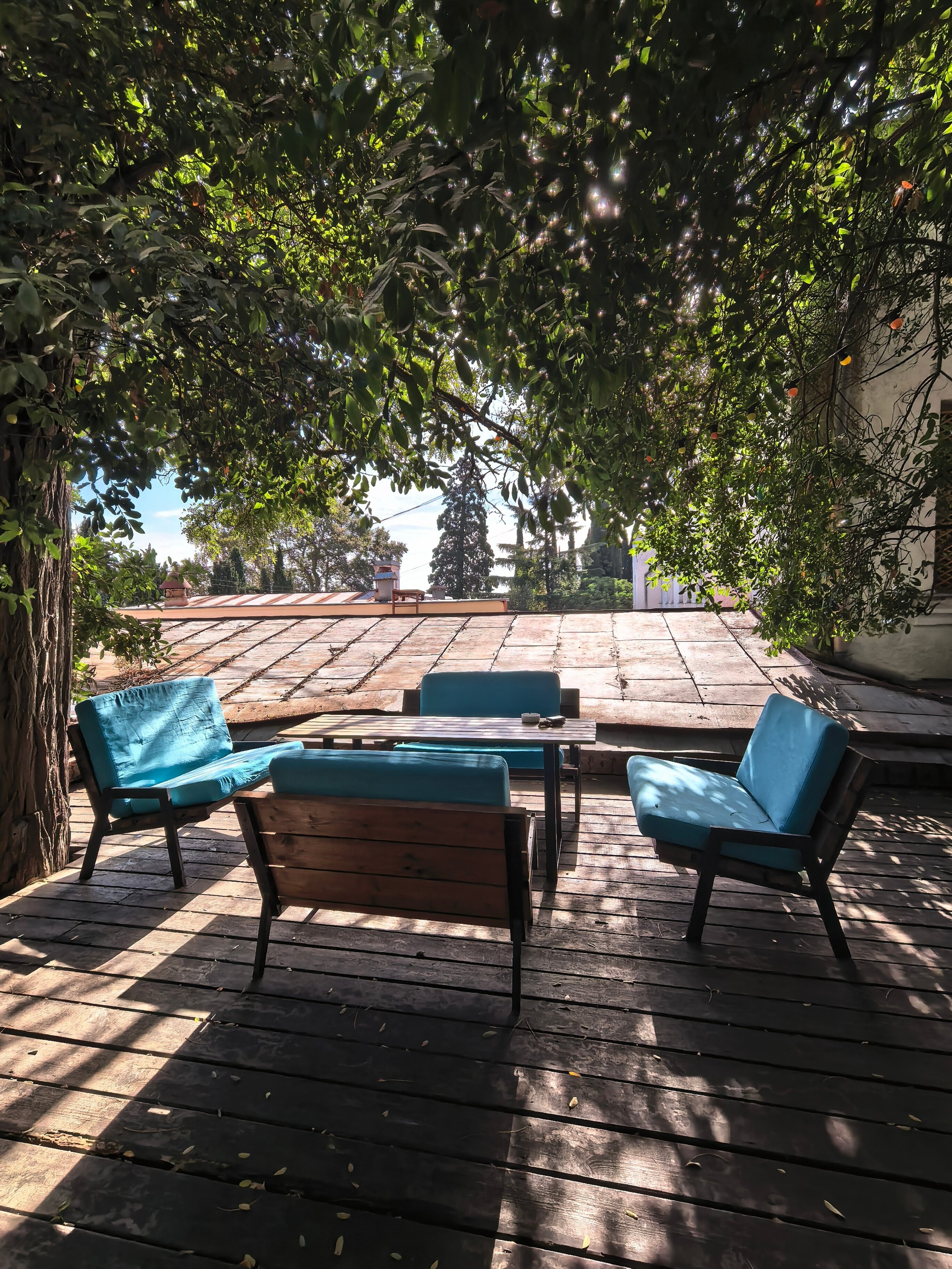 Фото Публика