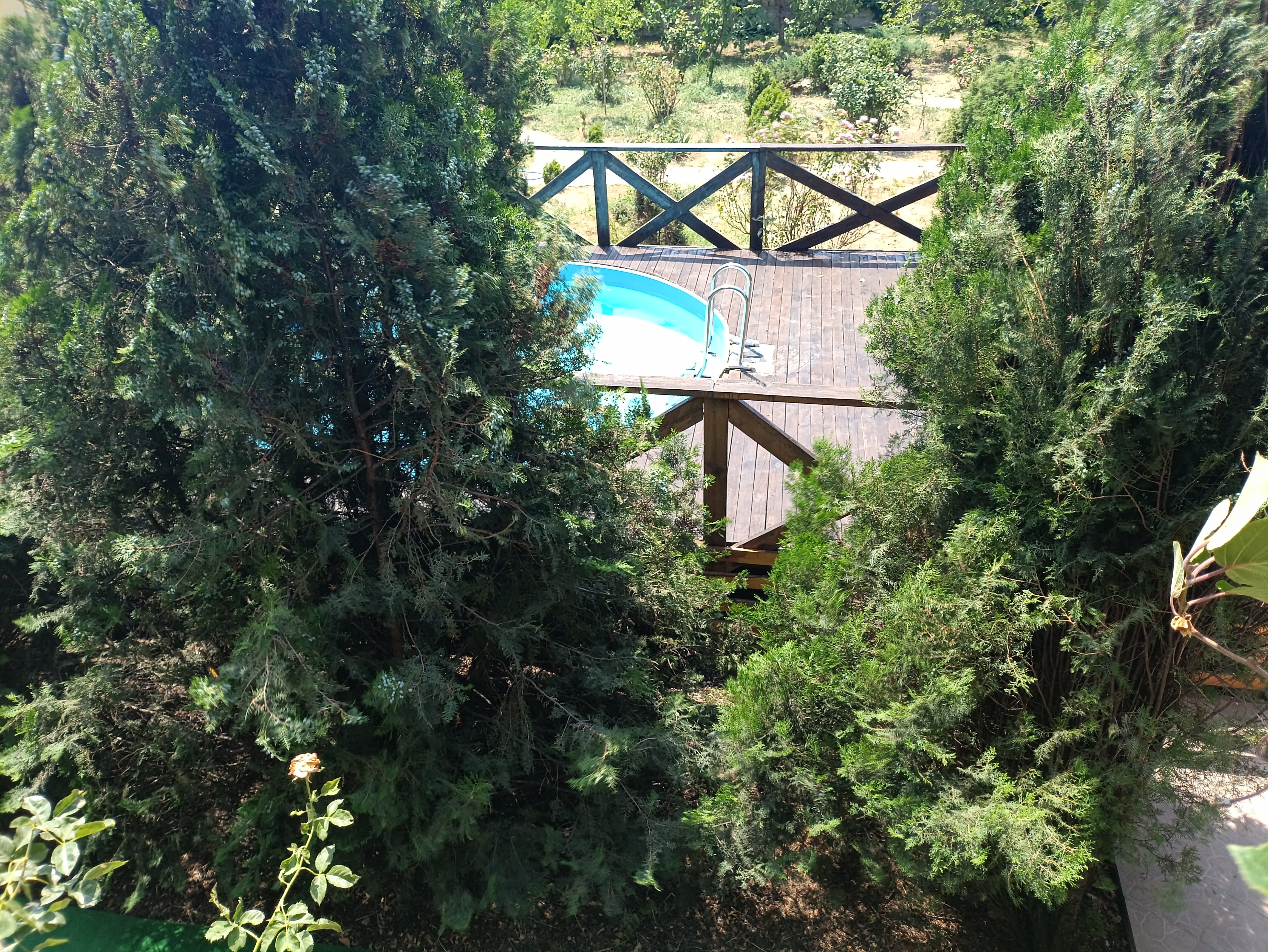 Фото Kapitan Vrungel