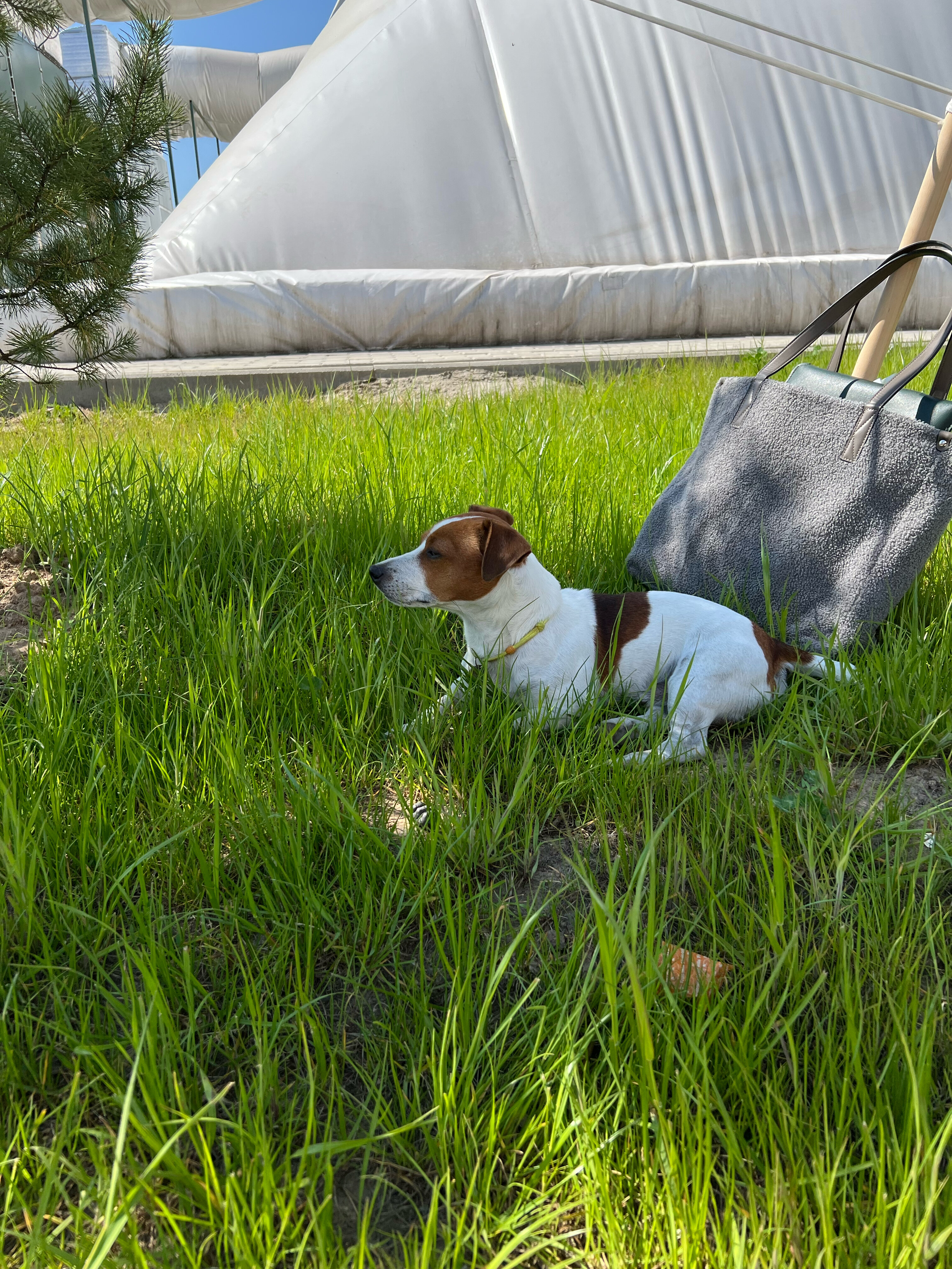 Фото Калужники
