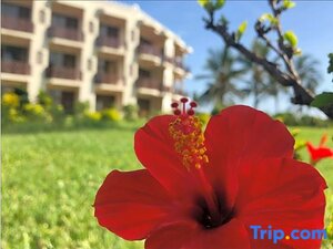 Гостиница Golden Tulip Dar Es Salaam