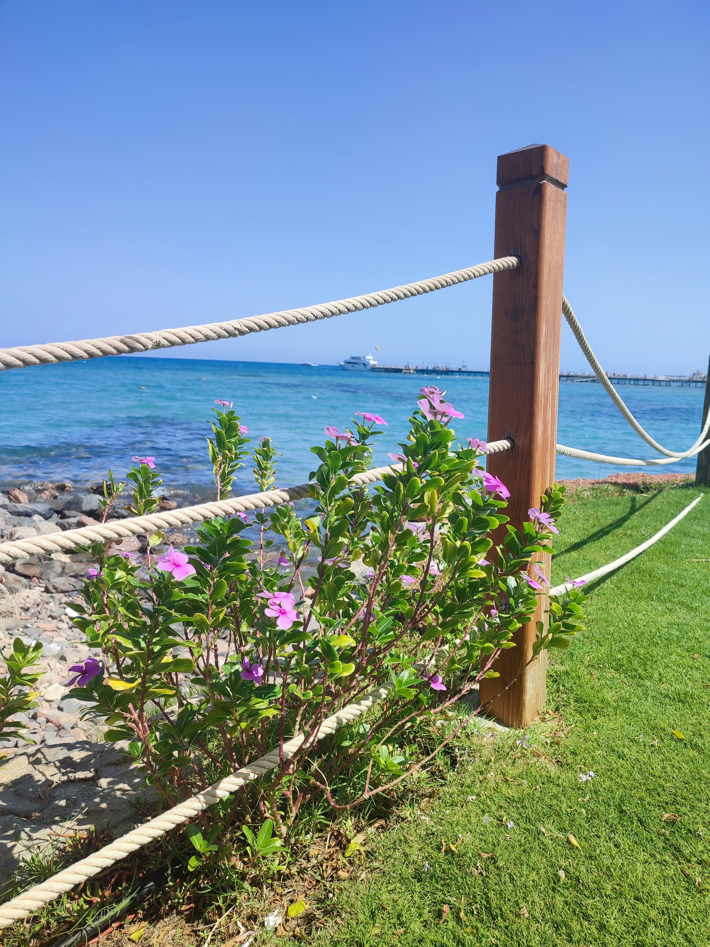 Фото Sunrise Crystal Bay Resort