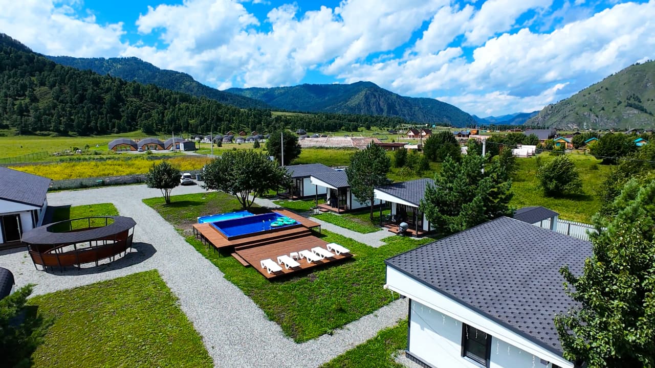 Фото Черника