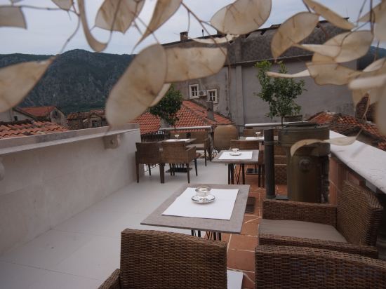 Фото Hippocampus