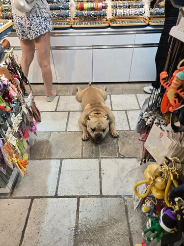 Madam Takı Fotoğraf 5