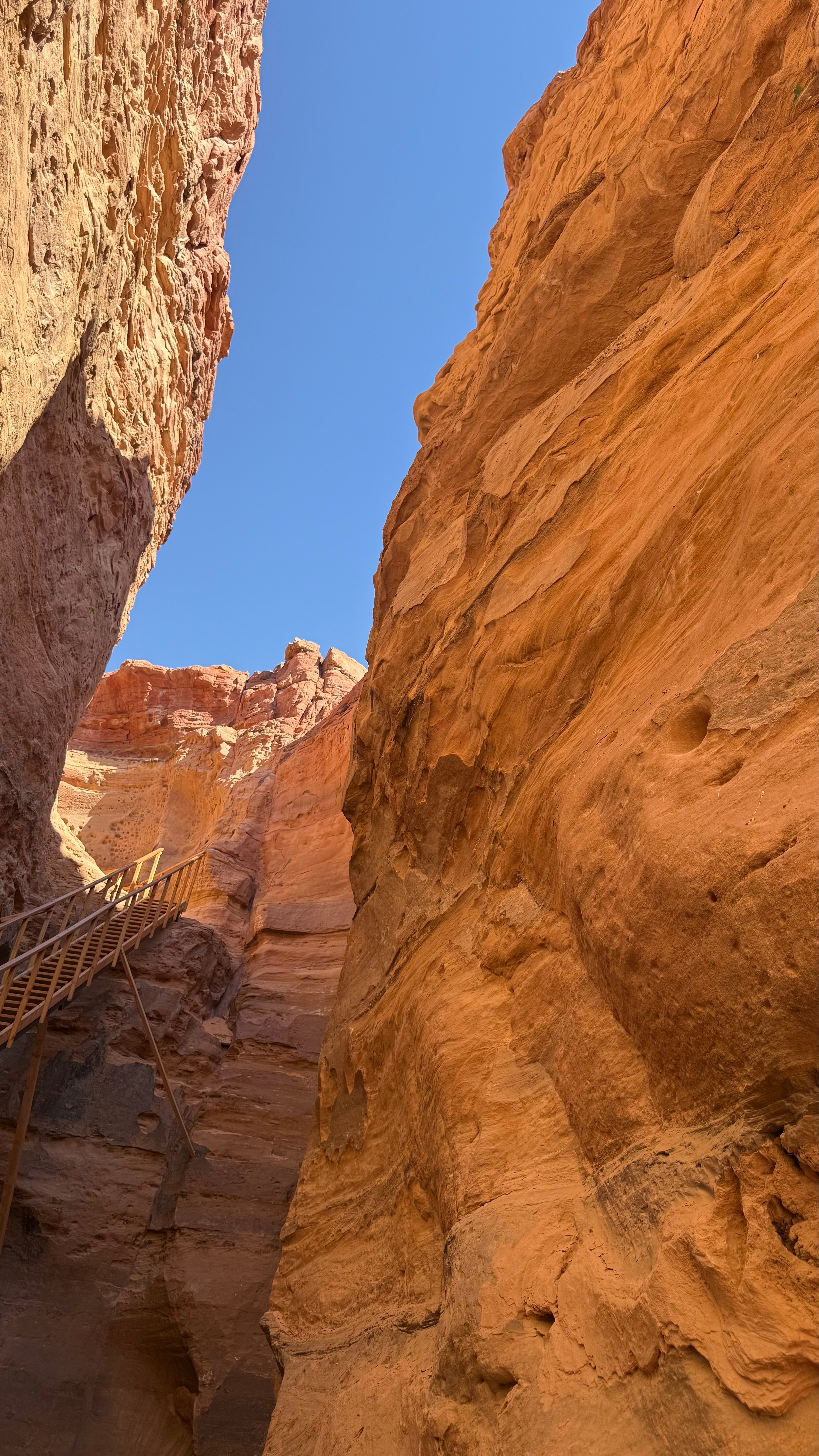 Фото Parrotel Lagoon Waterpark Resort