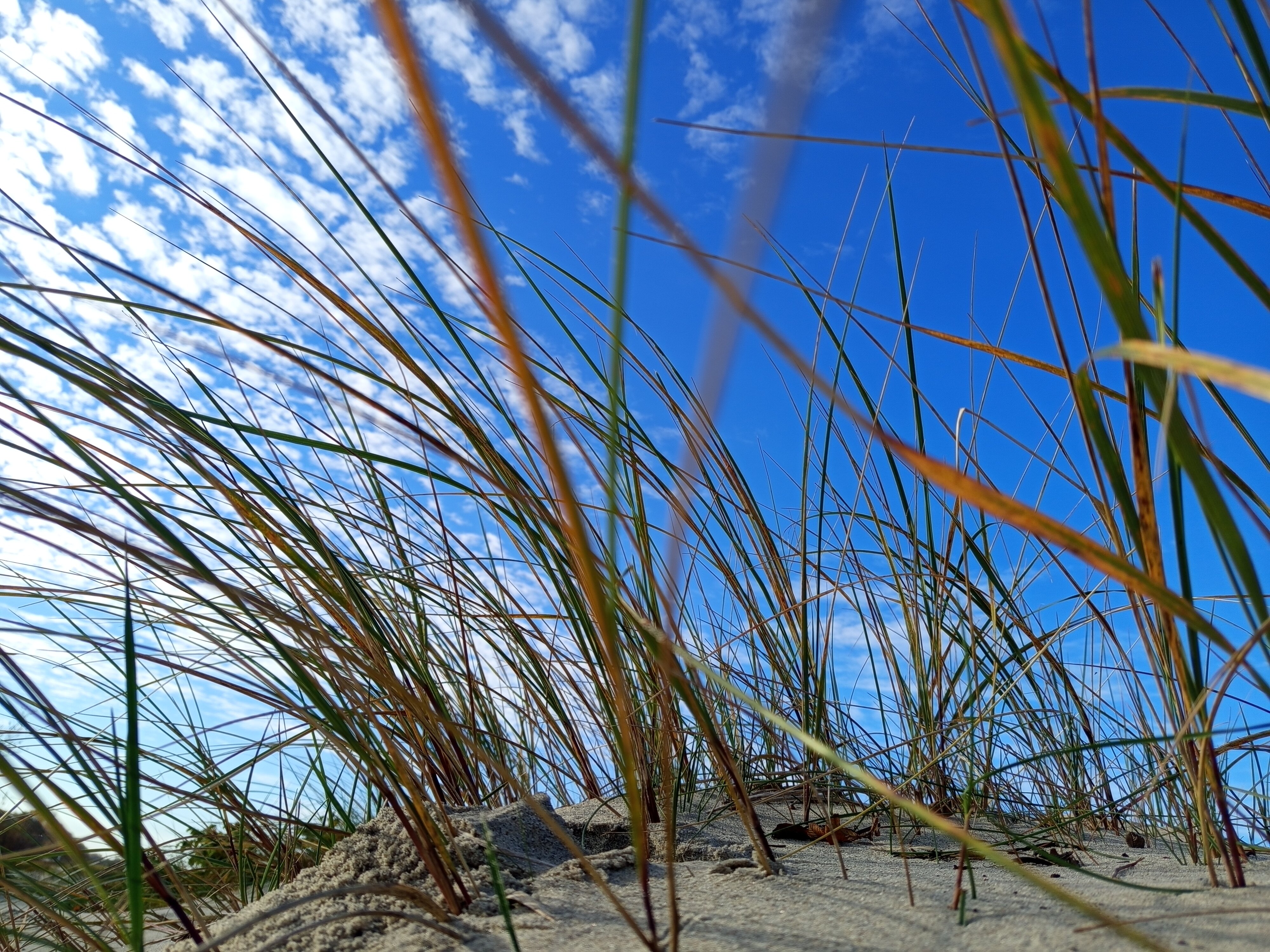 Фото Песок и Море