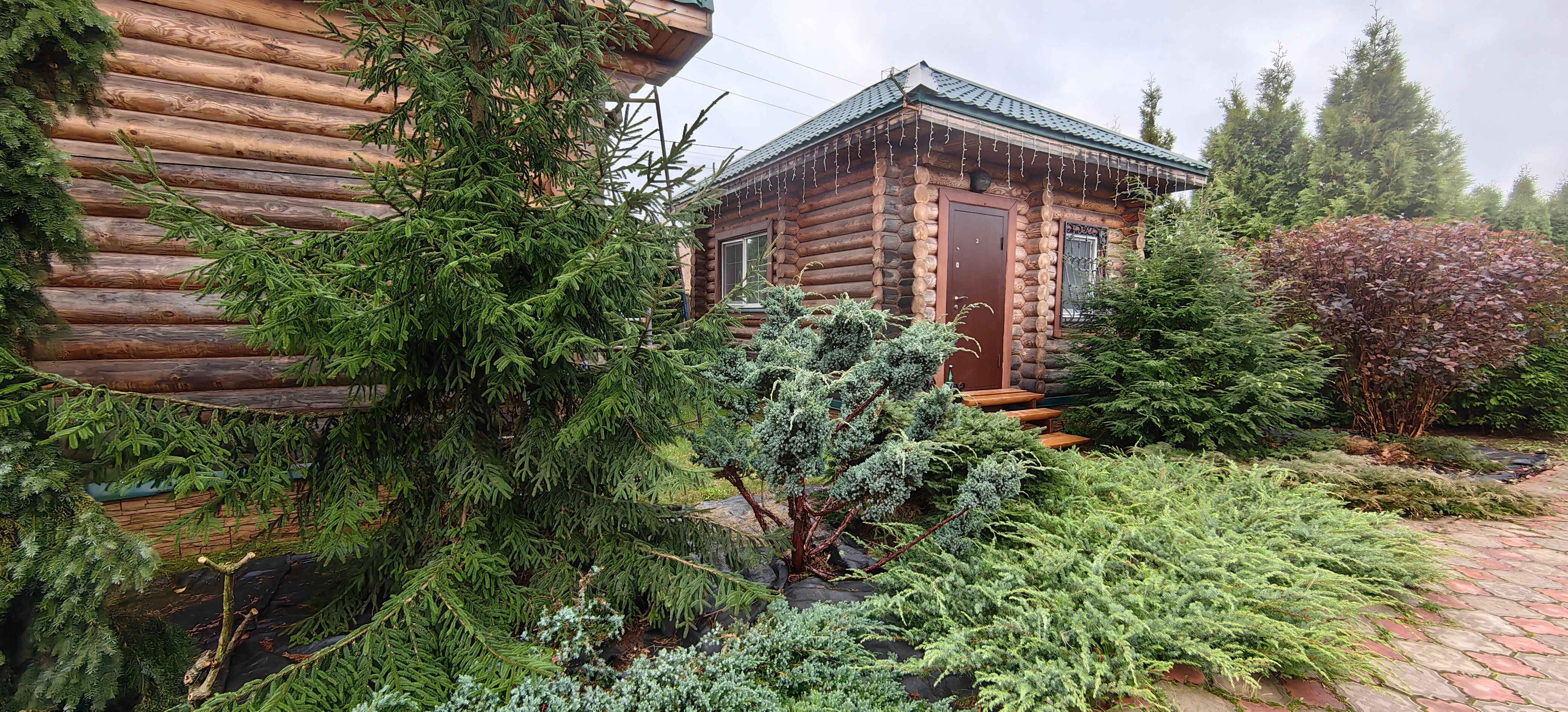 Фото Лукоморье