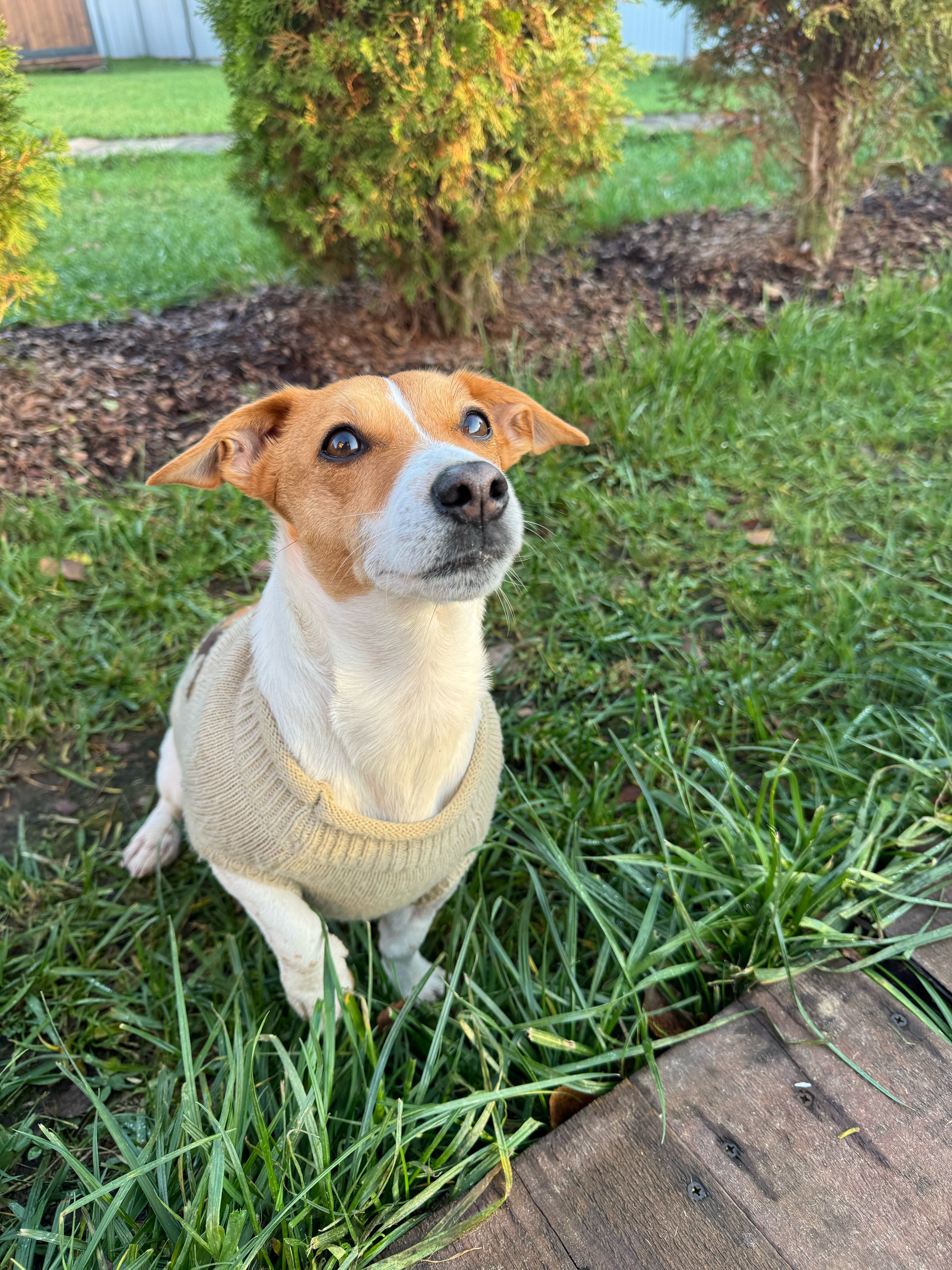 Фото Горький Виледж